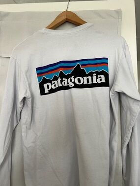 Patagonia Long Sleeve regular fit tee